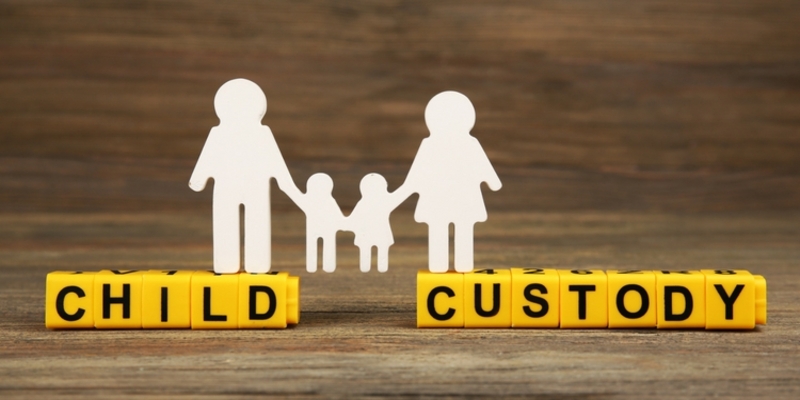Custody INDIVIDUAL Software