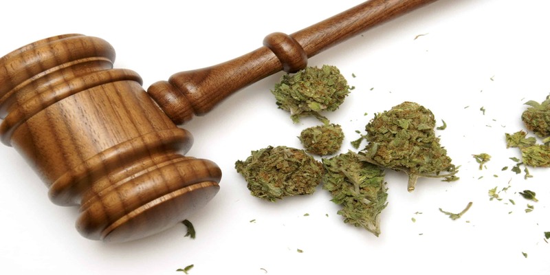 Drug Possession law software for INDIVIDUALS