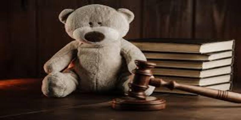 Guardianship INDIVIDUAL Software