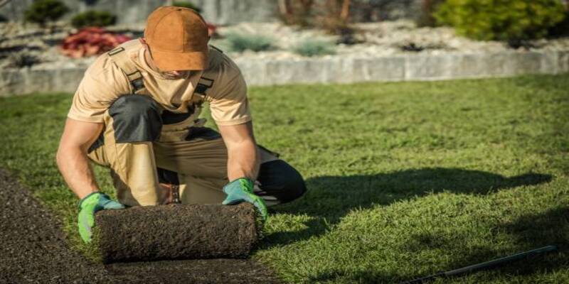 Landscaping Software
