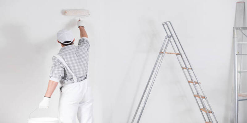 Painters Software